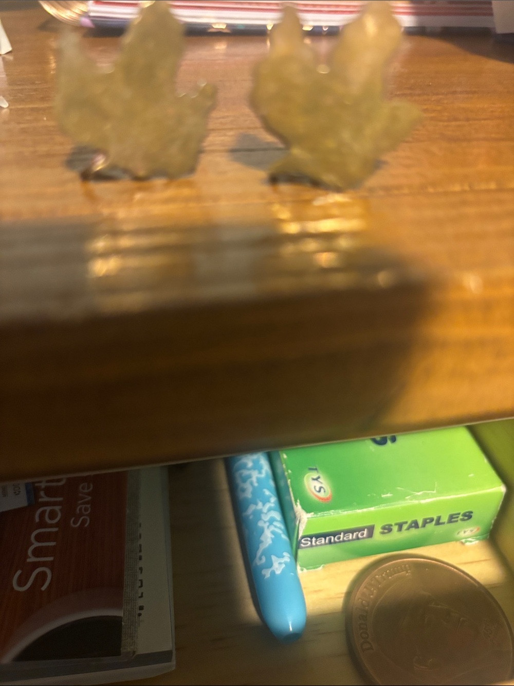 Vintage Gold Leaf screw back Earrings - Brass Tone